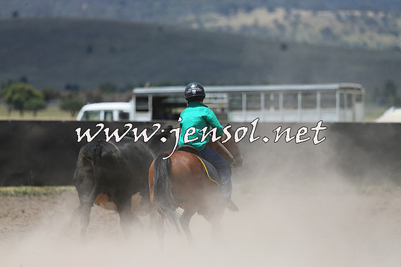 AdaminabyCampdraft2014_0384