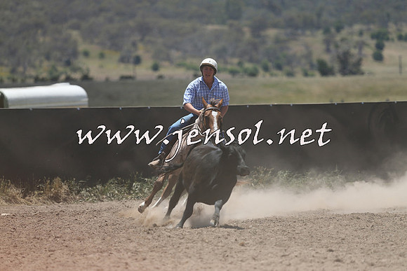 AdaminabyCampdraft2014_0224
