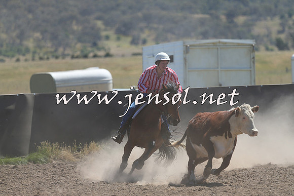 AdaminabyCampdraft2014_0912