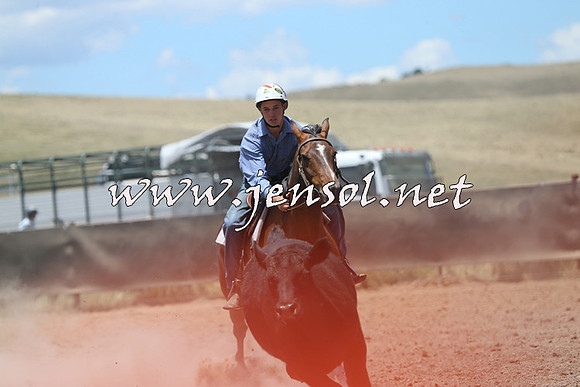 AdaminabyCampdraft2014_0220