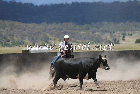 AdaminabyCampdraft2014_0453