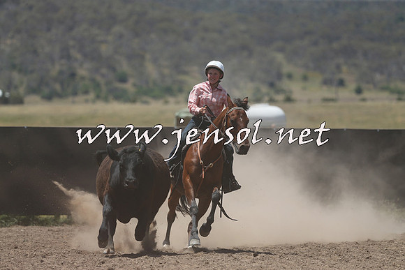 AdaminabyCampdraft2014_0475