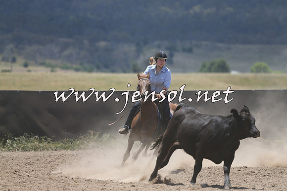 AdaminabyCampdraft2014_0201