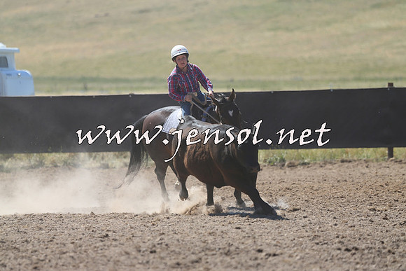 AdaminabyCampdraft2014_0878