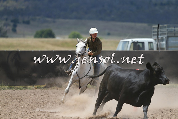 AdaminabyCampdraft2014_0411
