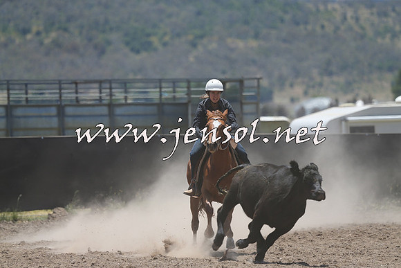 AdaminabyCampdraft2014_0148