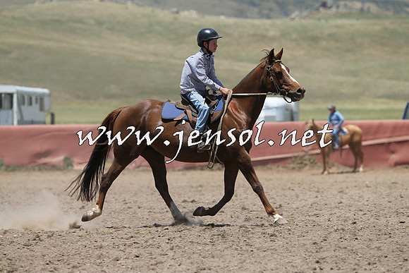 AdaminabyCampdraft2014_0423