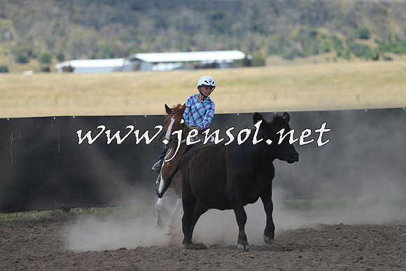 AdaminabyCampdraft2014_0506