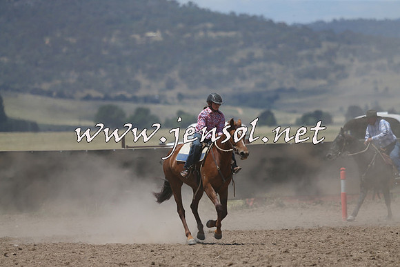 AdaminabyCampdraft2014_0441