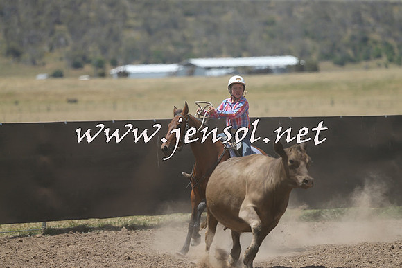AdaminabyCampdraft2014_0497
