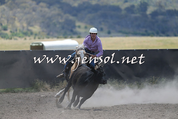 AdaminabyCampdraft2014_0191