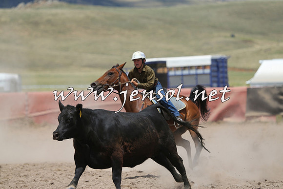 AdaminabyCampdraft2014_0486