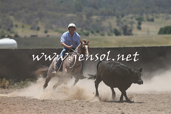 AdaminabyCampdraft2014_0225