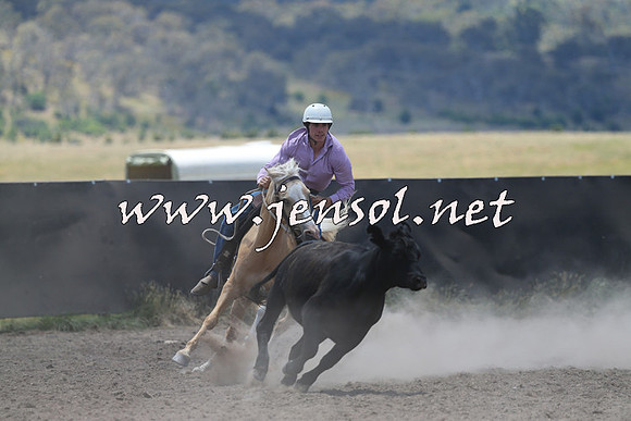 AdaminabyCampdraft2014_0190