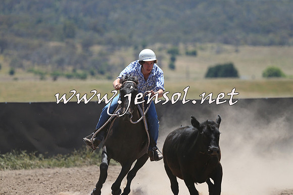 AdaminabyCampdraft2014_0133