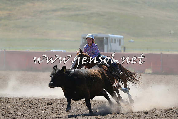 AdaminabyCampdraft2014_0871