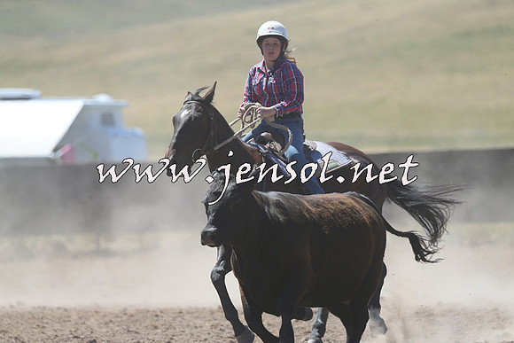 AdaminabyCampdraft2014_0889