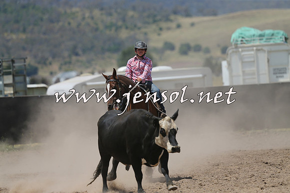 AdaminabyCampdraft2014_0485