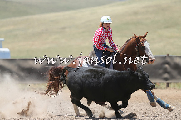 AdaminabyCampdraft2014_0161