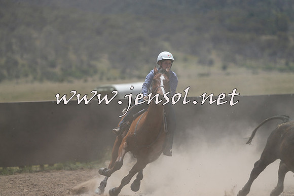 AdaminabyCampdraft2014_0178