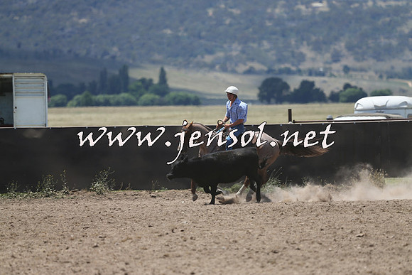 AdaminabyCampdraft2014_0236
