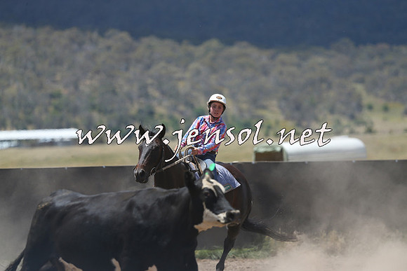 AdaminabyCampdraft2014_0459