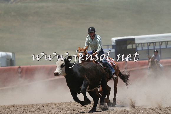 AdaminabyCampdraft2014_0242