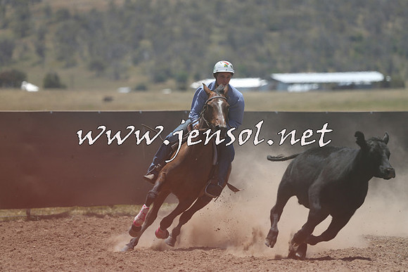 AdaminabyCampdraft2014_0211