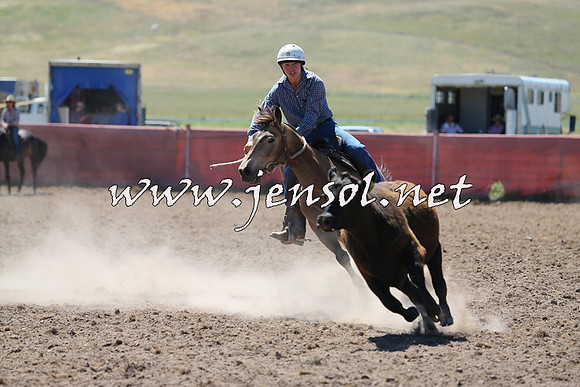 AdaminabyCampdraft2014_0895
