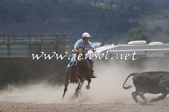 AdaminabyCampdraft2014_0170