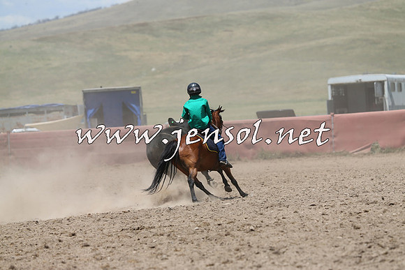 AdaminabyCampdraft2014_0396