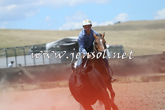 AdaminabyCampdraft2014_0221