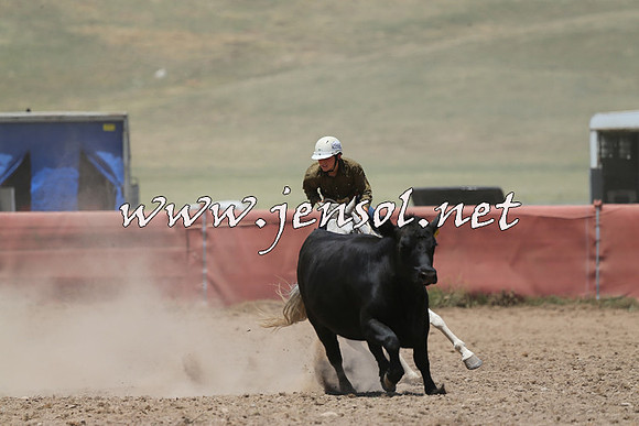 AdaminabyCampdraft2014_0413