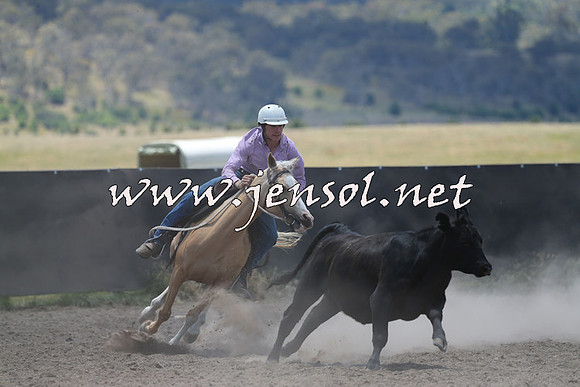 AdaminabyCampdraft2014_0186