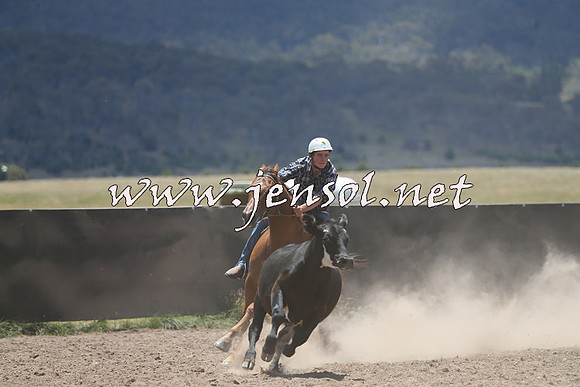 AdaminabyCampdraft2014_0195