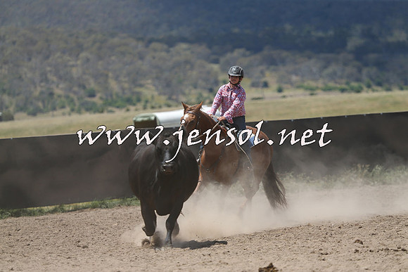 AdaminabyCampdraft2014_0432
