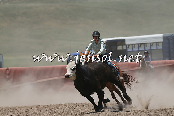 AdaminabyCampdraft2014_0243