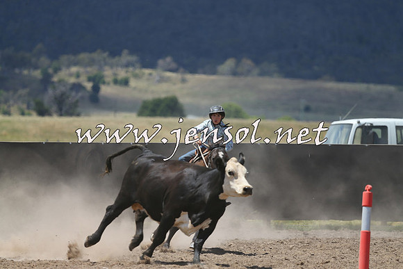 AdaminabyCampdraft2014_0462