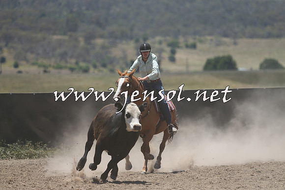 AdaminabyCampdraft2014_0239