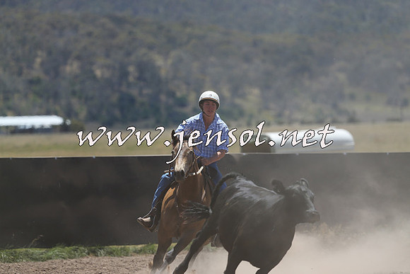 AdaminabyCampdraft2014_0136
