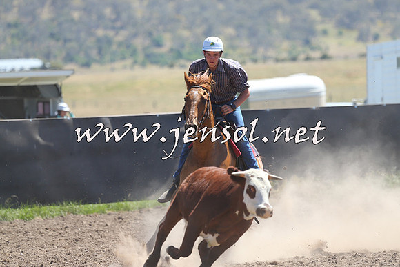 AdaminabyCampdraft2014_0905