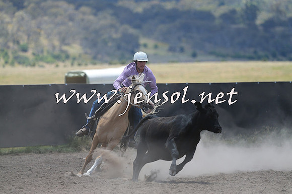 AdaminabyCampdraft2014_0187