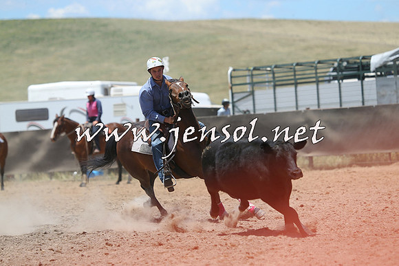 AdaminabyCampdraft2014_0213
