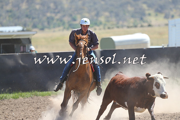 AdaminabyCampdraft2014_0906