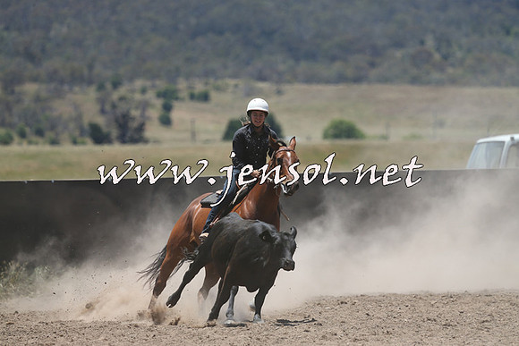 AdaminabyCampdraft2014_0247