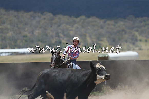 AdaminabyCampdraft2014_0460