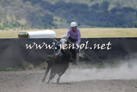 AdaminabyCampdraft2014_0189