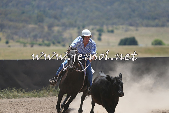 AdaminabyCampdraft2014_0132
