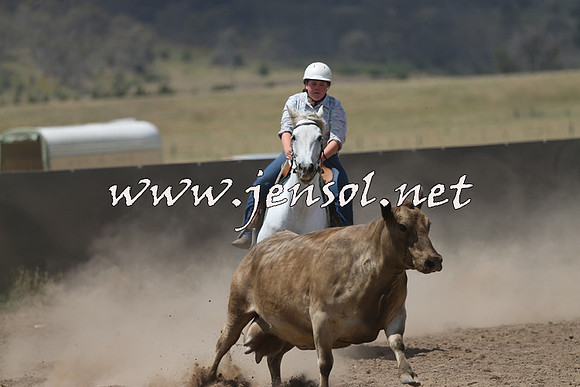 AdaminabyCampdraft2014_0492
