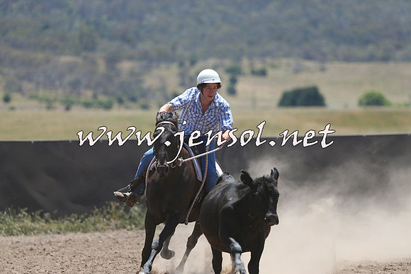 AdaminabyCampdraft2014_0134